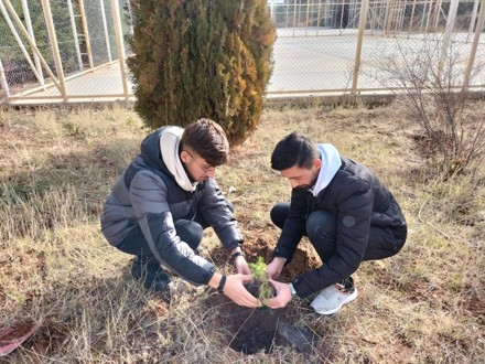 Her Çalışan Bir Fidan